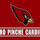 Arizona Cardinals Puro Pinche Sports Team Flags 3x5 ft