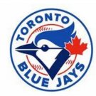 Toronto Blue Jays Sport White Banner 3x5 ft Flag
