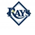 Tampa Bay Rays White Banner Flag 3x5 ft