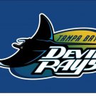 Tampa Bay Rays Devil Rays Flag 3x5 ft