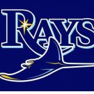 3x5 ft polyester Tampa Bay Rays flags digital