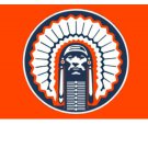 Illinois Fighting Illini Alumni Banner Flags 3x5 ft