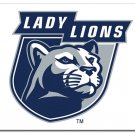 Penn State Nittany Lion polyeste Banner Flag 3x5 ft