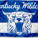 Kentucky Wildcats Throwback Vintage Banner Flag 3x5 ft