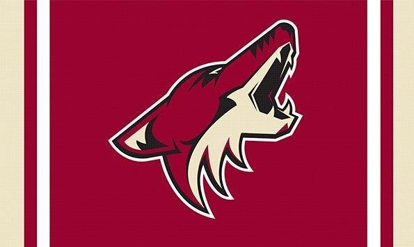 Phoenix Coyotes custom flag 3x5 ft