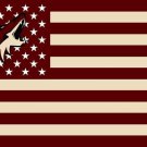 Phoenix Coyotes flags 3x5 ft