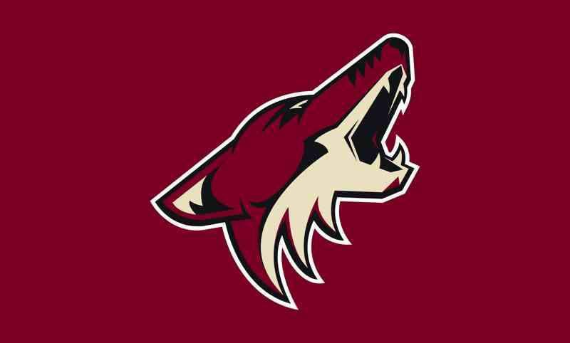 Phoenix Coyotes flags 3x5 ft