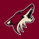 Phoenix Coyotes flags 3x5 ft