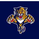 Florida Panthers flags 3x5 ft
