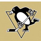 Pittsburgh Penguins custom flag 3x5 ft