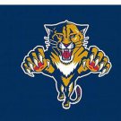 Florida Panthers custom flag 3x5 ft