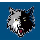 Minnesota Timberwolves custom flag 3x5 ft