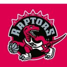 3x5 ft Toronto Raptors star and strips flags