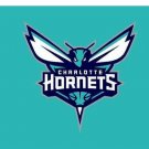 Charlotte Hornets flags with 2 Metal Grommets 3x5 ft