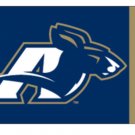 Akron Zips Helmet polyester Banner Flag 3x5 ft