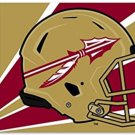 Florida State Seminoles Team Helmet Flag 3x5 ft