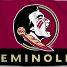 Florida State Seminoles Banner University Flag 3x5 ft