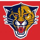 Florida Panthers Flag 3x5 ft