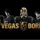 3x5 ft Vegas Golden Knights Players Poster Flag
