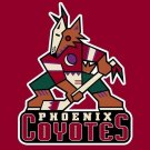 Phoenix Coyotes Flag 3x5 ft