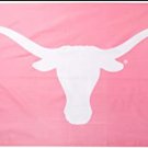 Texas Longhorns Pink Banner Flag 3x5 ft