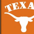 Texas Longhorns Deluxe Banner Flag 3x5 ft