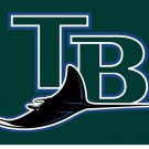 Tampa Bay Rays Flag 3x5 ft
