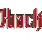 Arizona Diamondbacks Baseball Club flags 3x5 ft