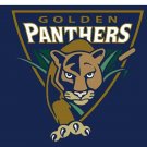 Florida International Golden Panthers flag Digital Printing 3x5 ft