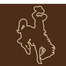 Wyoming Cowboys flag Digital Printing 3x5 ft