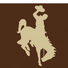 Wyoming Cowboys flag Digital Printing 3x5 ft