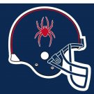Richmond Spiders flag 3x5 ft