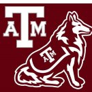 Texas A&M Aggies Flag 3x5 ft Club
