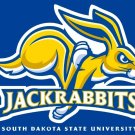 South Dakota State Jackrabbits Flag 3x5 ft Club