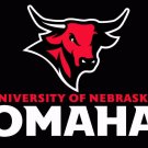Nebraska Omaha Mavericks Flag 3x5 ft Club