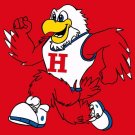 Hartford Hawks Flag 3x5 ft Club