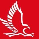 Hartford Hawks Flag 3x5 ft Club