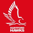 Hartford Hawks Flag 3x5 ft Club