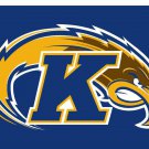 Kent State Golden Flashes Flag 3x5 ft Club