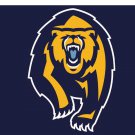 California Golden Bears Hand Flag 3x5 ft Club