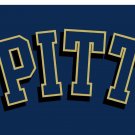 Pittsburgh Panthers Digital Printing Flag 3x5 ft