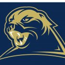 Pittsburgh Panthers Digital Printing Flag 3x5 ft