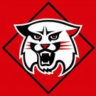 Davidson Wildcats Flag 3x5 ft