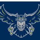 Rice Owls Hand Flag 3x5 ft