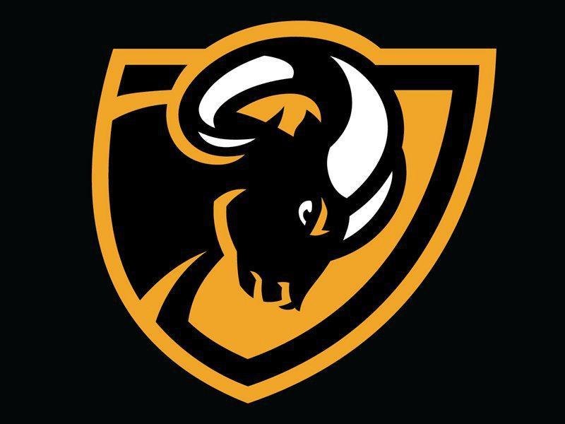 VCU Rams custom-made flag Digital Printing