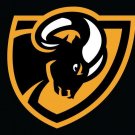 VCU Rams custom-made flag Digital Printing
