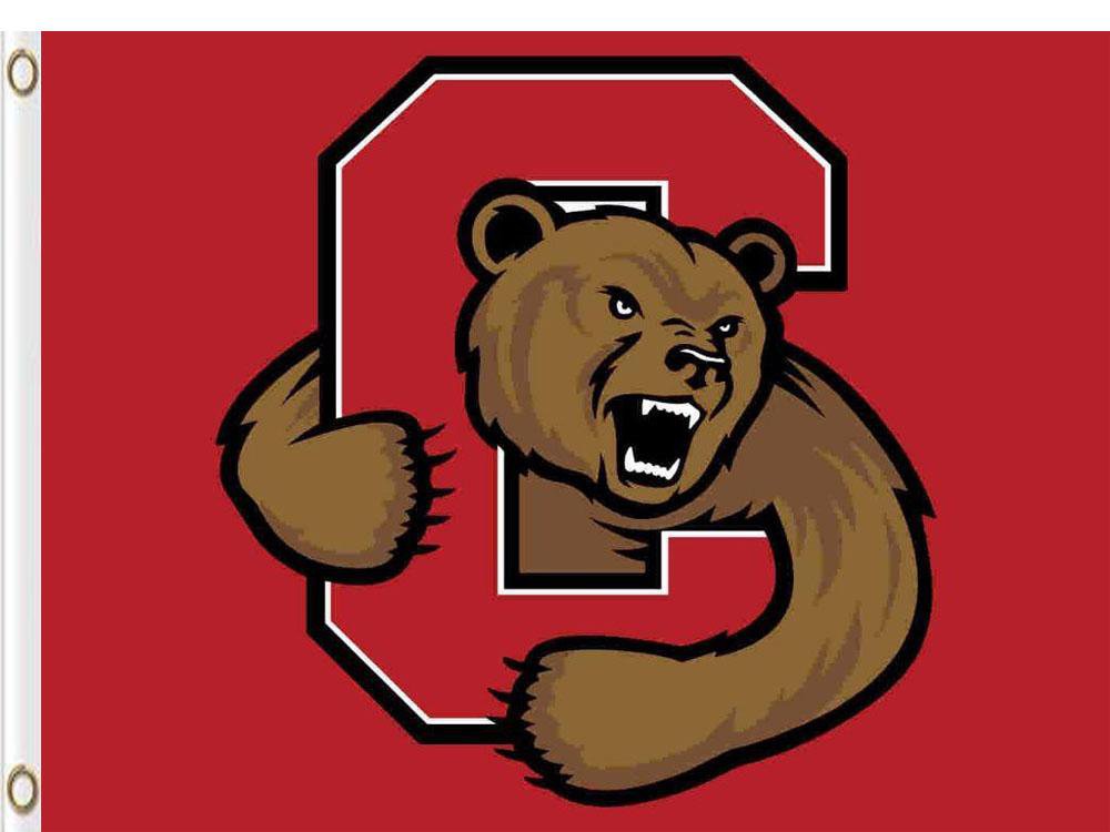 Cornell Big Red Hand Flag 3x5 ft Club Basketbal