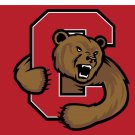 Cornell Big Red Hand Flag 3x5 ft Club Basketbal