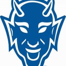 Central Connecticut State Blue Devils Hand Flag 3x5 ft