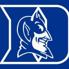 Central Connecticut State Blue Devils Hand Flag 3x5 ft